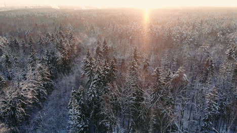Luftnahaufnahme,-Die-Bei-Nebligem-Sonnenaufgang-über-Gefrorene-Baumwipfel-Im-Verschneiten-Mischwald-Fliegt.-Goldene-Sonne,-Die-Im-Kalten-Winter-Hinter-Einem-Eisigen-Mischwald-Aufgeht,-Der-In-Morgennebel-Und-Schnee-Gehüllt-Ist.-Atemberaubende-Winterlandschaft